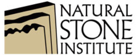 NSI Logo